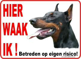 DOBERMANN PINCHER 128