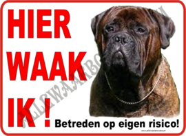 Bullmastiff gestroomd 118 C  (Brindle)