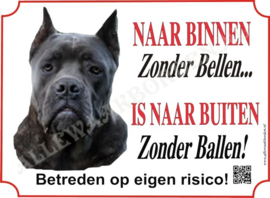 CANE CORSO 122 AK 5
