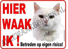 WITTE KAT (1) 255