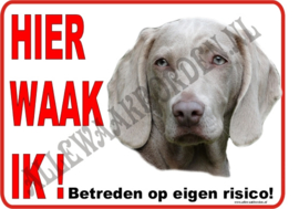 WEIMARANER 262 A