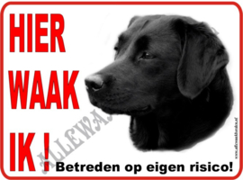 LABRADOR  DONKER 156