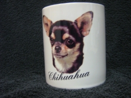 CHIHUAHUA