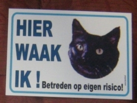 ZWARTE KAT 203