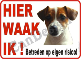 Jack Russel 152