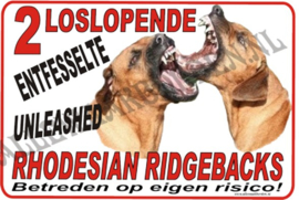 RHODESIAN RIDGEBACK 177 B