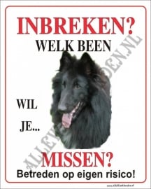 Belgische Herder 209 D KL. JPG