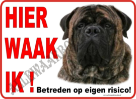 Bullmastiff gestroomd 118 b  (Brindle)