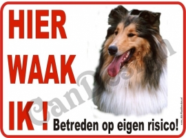 SCHOTSE COLLIE 179