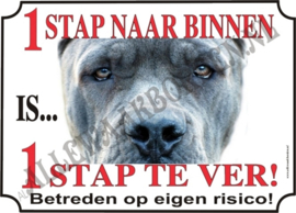 CANE CORSO 122 AK 5