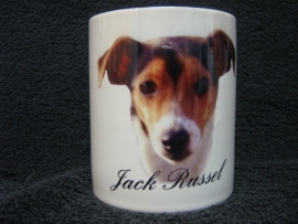 JACK RUSSEL