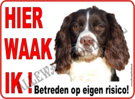 Springer Spaniel 178 B