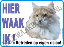 WITTE KAT 2 (SPECIAAL) 256 (BLAUWE TEKST)