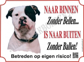 Amerikaanse Bulldog 103 BAL