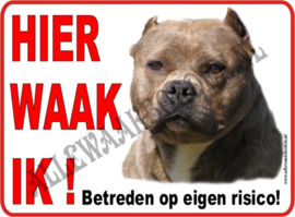 Pitbull Terriër 171 (DONKER Bruin)