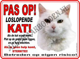 Witte kat 255...Pas op loslopende KAT