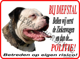 Amerikaanse Bulldog 104