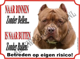 Pitbull Terriër 171 AK  ( Licht Bruin/Ball)