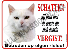 WITTE KAT (1) 255 (SCHATTIG)