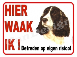 SPRINGER SPANIEL 178