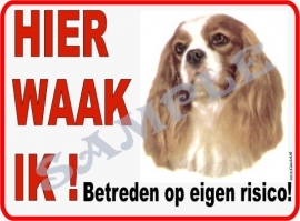 KING CHARLES SPANIEL 211