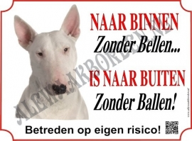 Bullterriër 119