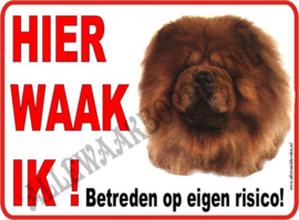 CHOW CHOW 126