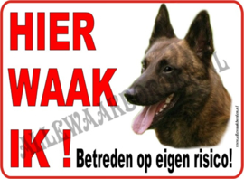 Hollandse Herder 252