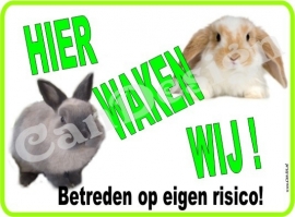 HIER WAKEN WIJ ...KONIJNEN GROEP 228