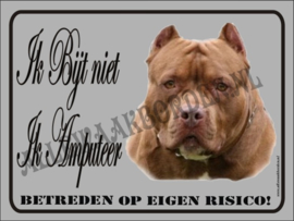 Pitbull Terriër 471 (Bruin Wit)