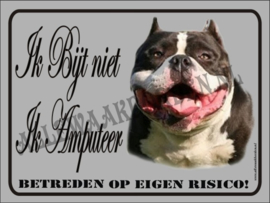 Pitbull Terriër 471 (Bruin Wit)