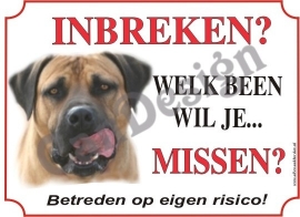 Boerboel 117