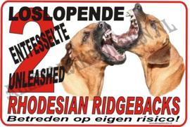 RHODESIAN RIDGEBACK 177 A