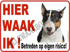 BULLTERRIËR DONKERBRUIN WIT 120