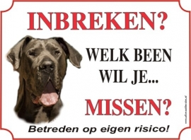 Duitse/Deense dog donkerbruin 205 B. AK