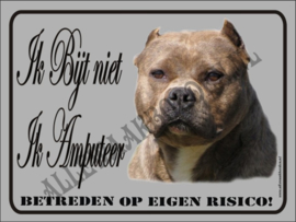 Pitbull Terriër 471 (Bruin Wit)