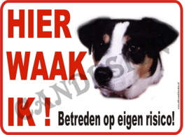 Jack Russel 152