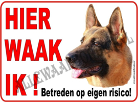 Hollandse Herder 252 (licht)