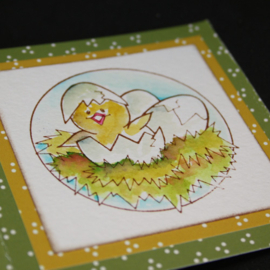 Clear stamp Peek-a-boo Chicken Family CS1114