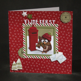 2112 Uiltje met kerstpost
