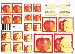 knipvel: appels