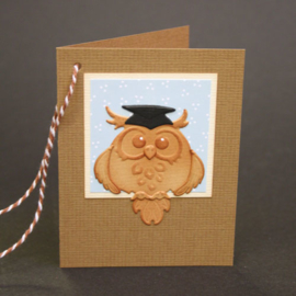 Lea'bilitie mal Owl / Graduation (455596)