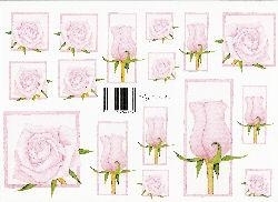 knipvel: roze rozen