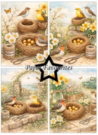 Paper Favourites - Bird Nest A6