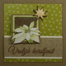 Witte kerstroos 0866