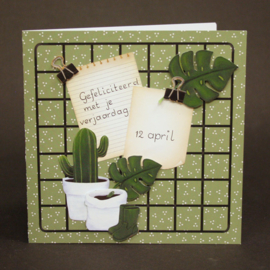 1092 Cactussen