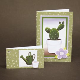 Pakket cactus