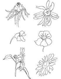 Clear stamp bloemen #240010