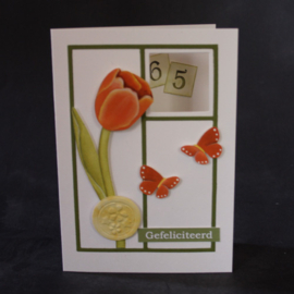 Rode tulp 0842