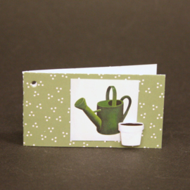 Pakket cactus